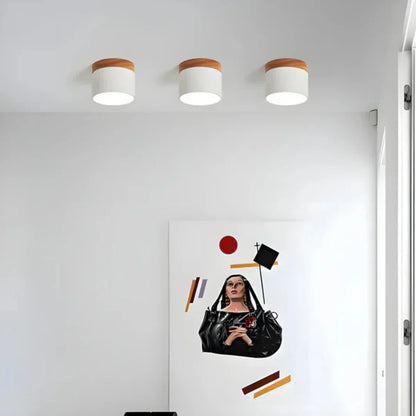 Vesta Vintage LED Ceiling Lamp