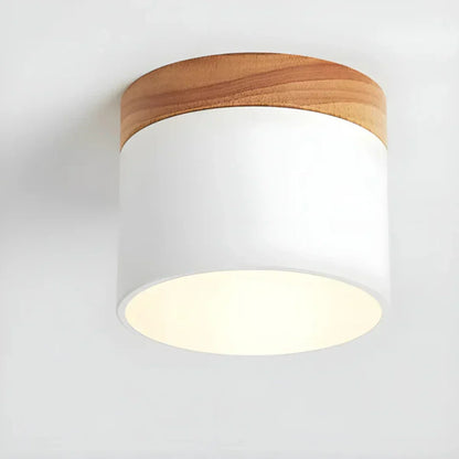 Vesta Vintage LED Ceiling Lamp