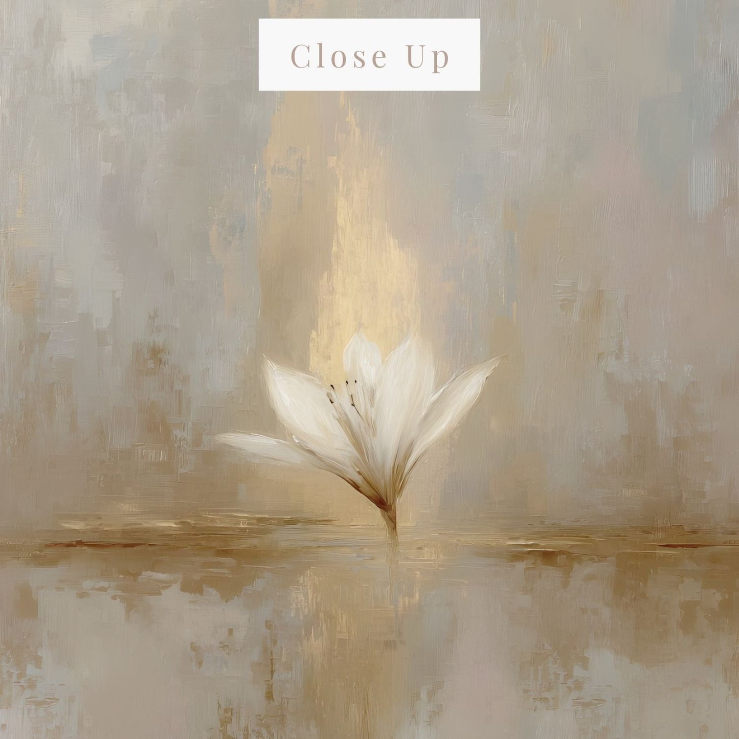 Bloom Without Worry | Canvas