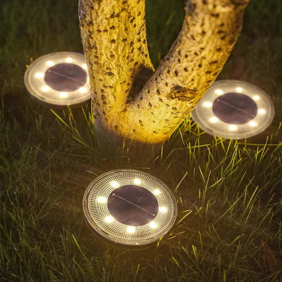 Cene Motion Sensor Solar Outdoor Lamp