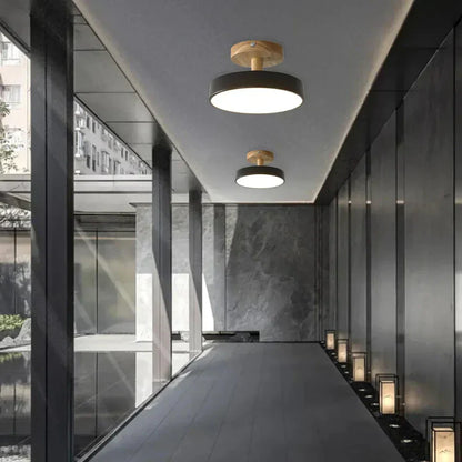 Soreia Compact Modern LED Ceiling Lamp