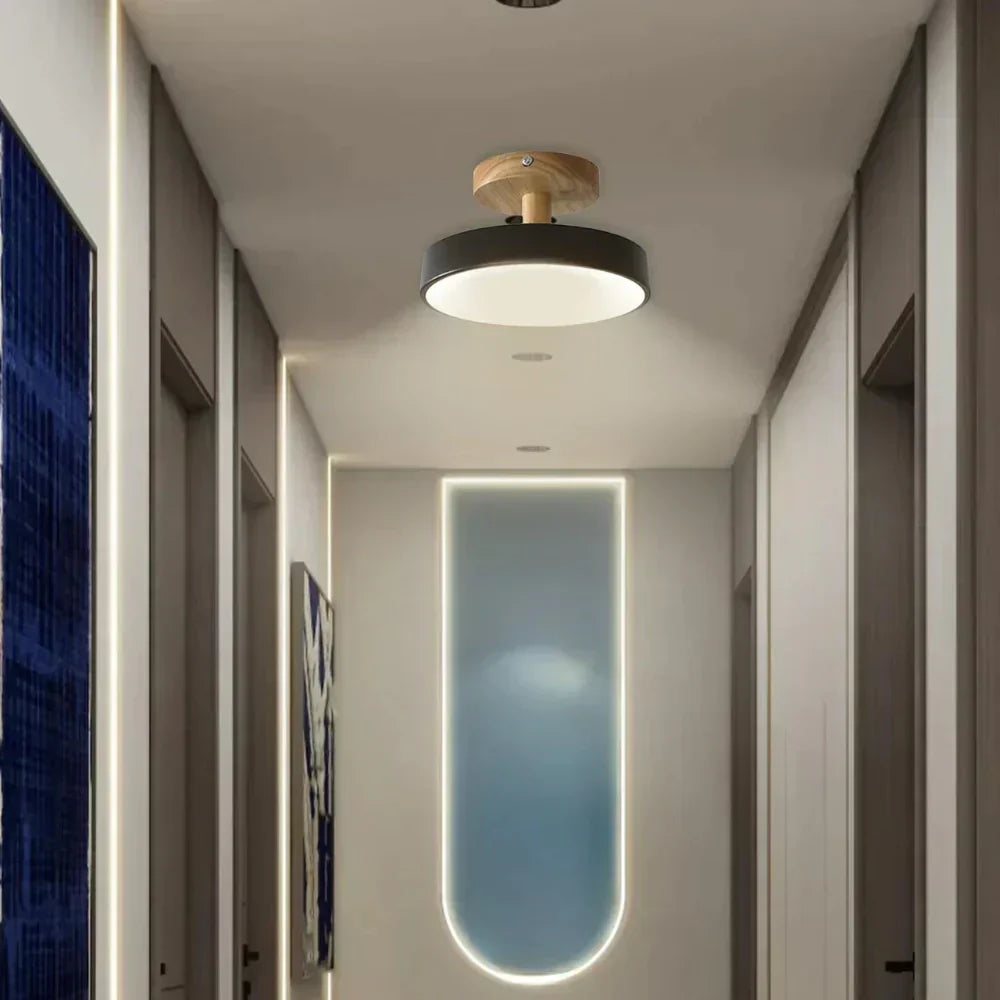 Soreia Compact Modern LED Ceiling Lamp