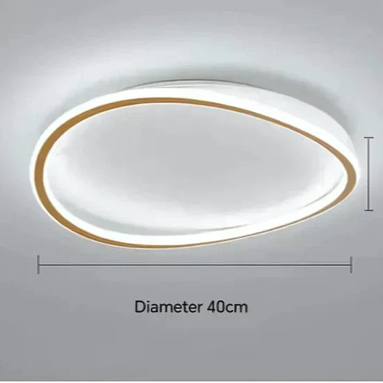 Sennia Modern LED Ceiling Lamp