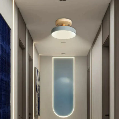 Soreia Compact Modern LED Ceiling Lamp
