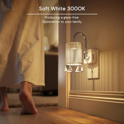 Montavio Home™ Lumilight Boho (Pack of 2)