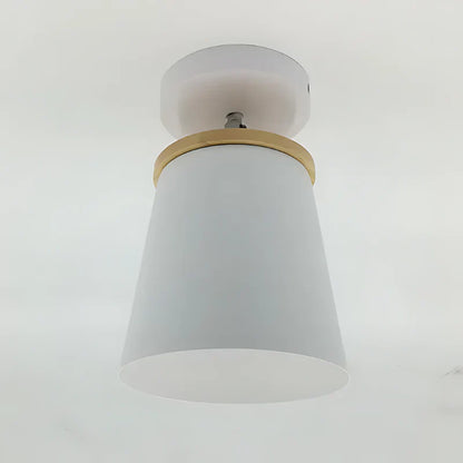 Virox Stylish Macaron Ceiling Lamp