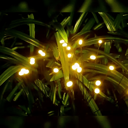 Solar Firefly Lights (Pack of 2)
