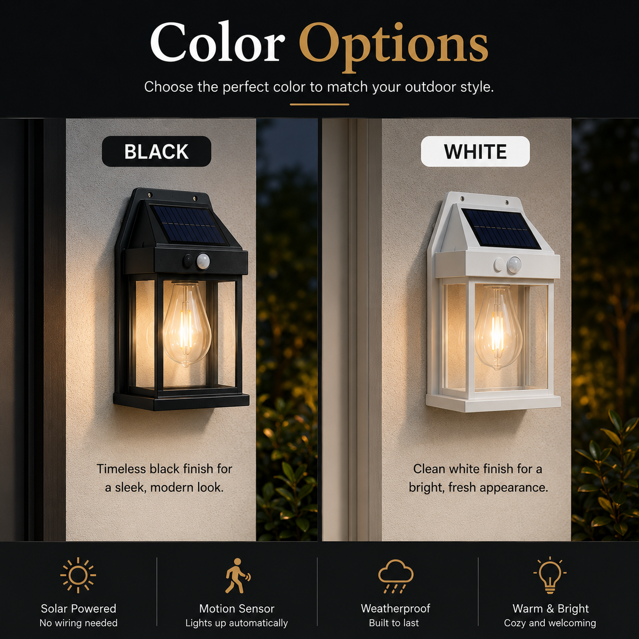 Tungsten Filament Solar Wall Lantern (Pack of 2)