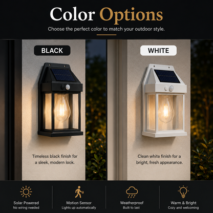 Tungsten Filament Solar Wall Lantern (Pack of 2)