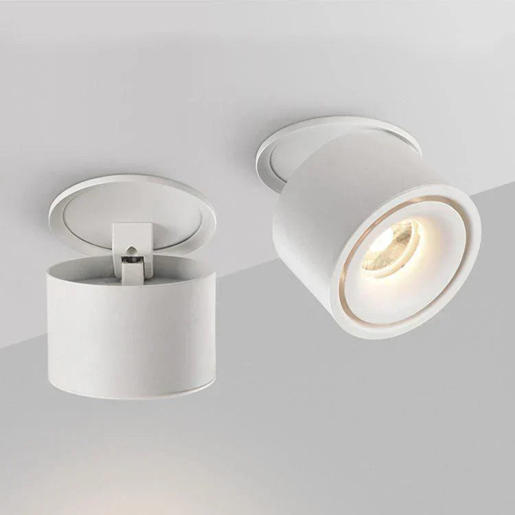 Alira Adjustable Cylinder Recessed LED Ceiling Lamp
