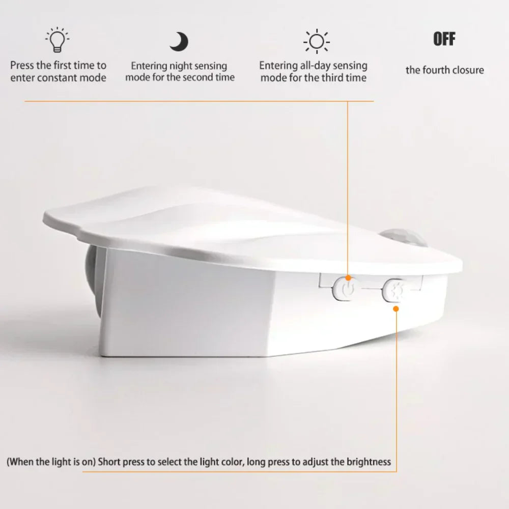 Shell Motion Light