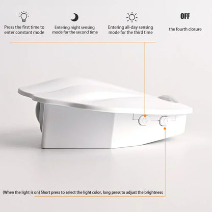 Shell Motion Light