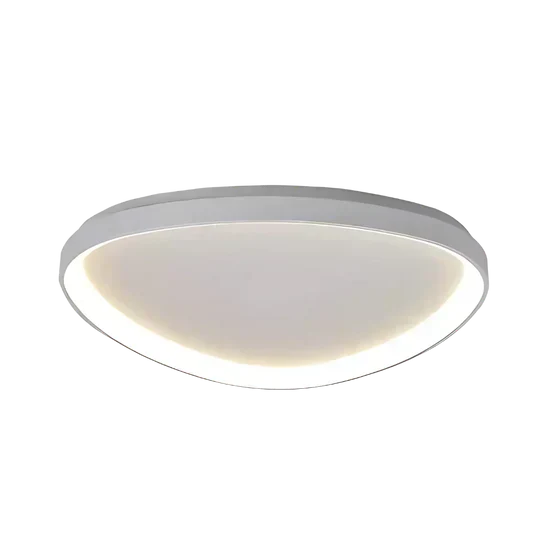 Cirevia Modern LED Ceiling Lamp