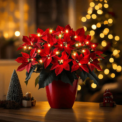 Twinkling Tree Radiant Poinsettia by Montavio Home™
