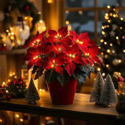 Twinkling Tree Radiant Poinsettia by Montavio Home™