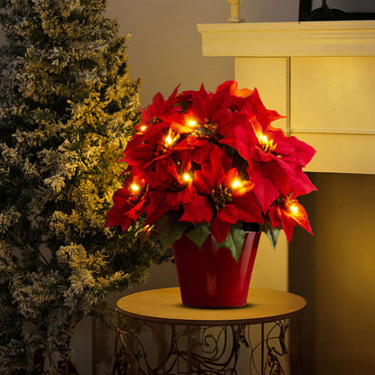 Twinkling Tree Radiant Poinsettia by Montavio Home™