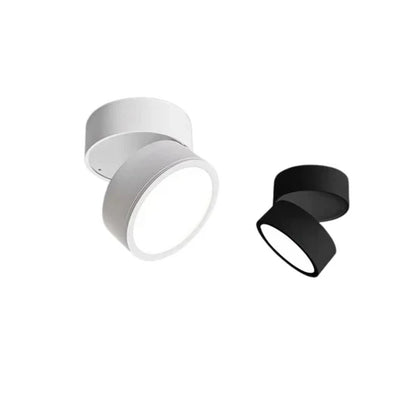 Somos Adjustable LED Ceiling Lamp
