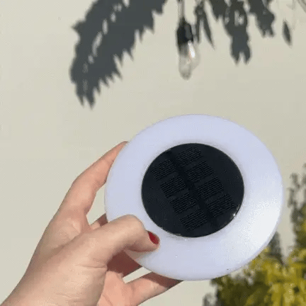 Montavio Home™ Rust-Proof Solar Ground Light (Pack of 4)